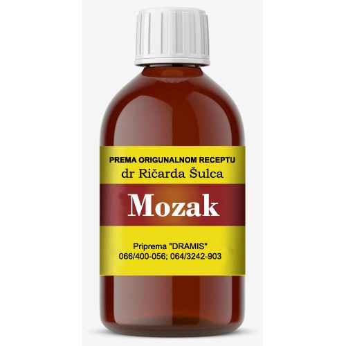 Mozak